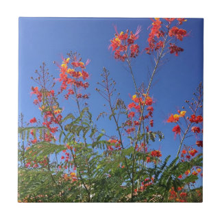 Mexican bird of paradise tile