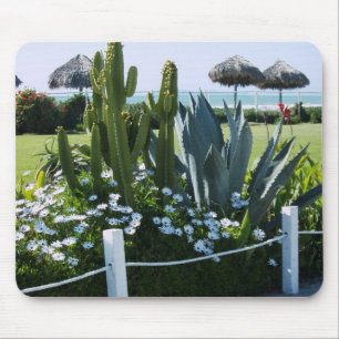 Mexican Cacti Mouse Mat