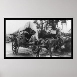 Mexican Emigration Wagon 1912 Poster