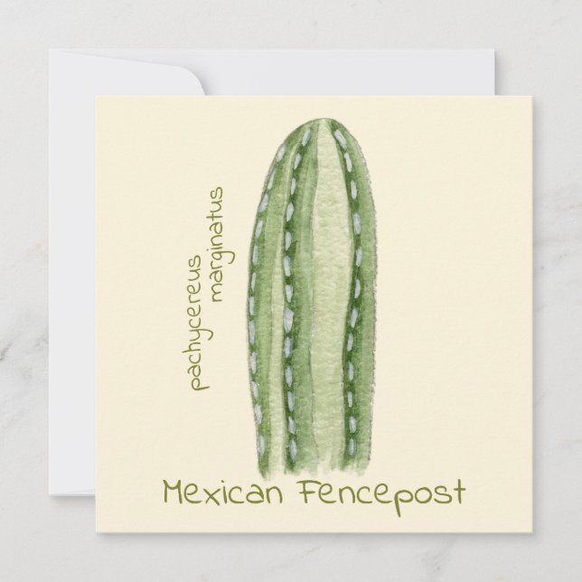 Mexican Fencepost cactus greeting card (Front)