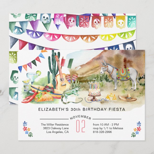 Mexican Fiesta Birthday Party Invitation (Front/Back)