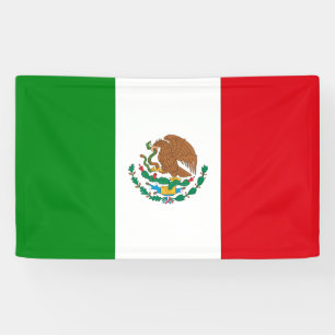 Mexican Flag Banner