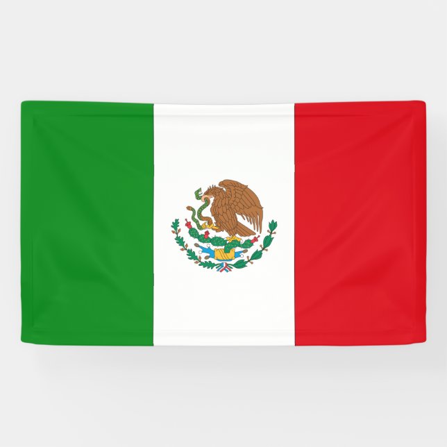 Mexican Flag Banner (Horizontal)