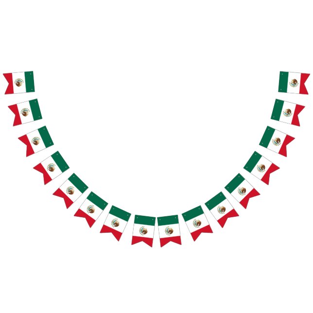 Mexican Flag - Flag of Mexico (All)