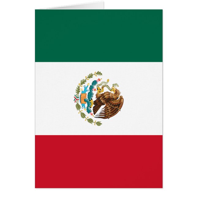Mexican Flag - Flag of Mexico (Front)