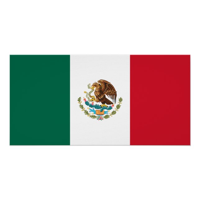 Mexican Flag Poster (Front)