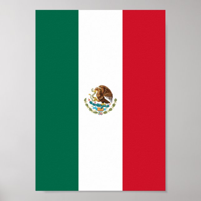Mexican flag poster (Front)
