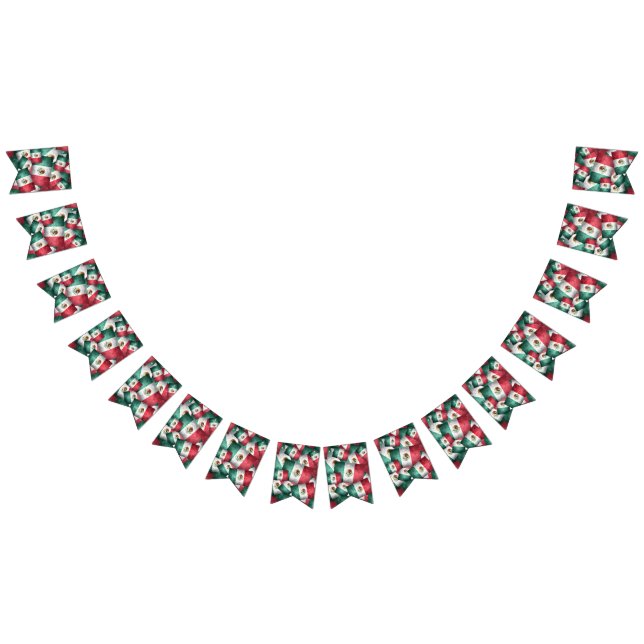 Mexican  Flags Party Bunting Banner (All)