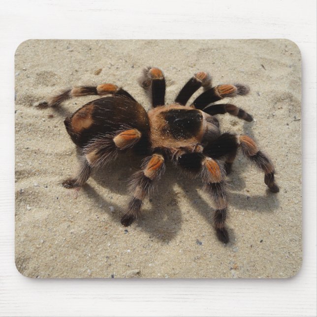 Mexican Flameknee Tarantula Spider Mouse Mat (Front)