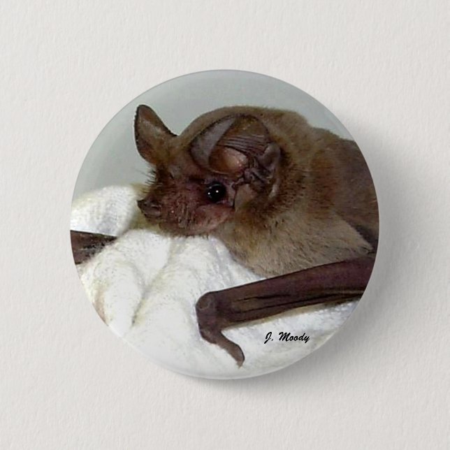 Mexican Free-tailed Bat 6 Cm Round Badge (Front)