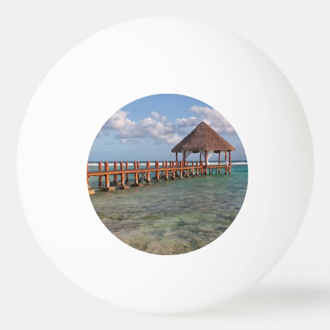 Mexican gazebo ping pong ball (Front)