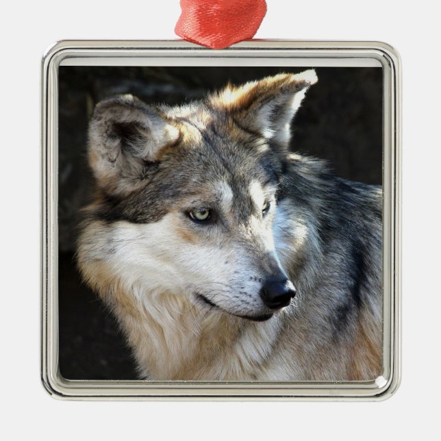 Mexican Grey Wolf Metal Tree Decoration (Front)