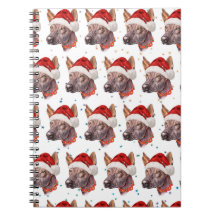 Mexican Hairless Dog Breed Christmas Stars