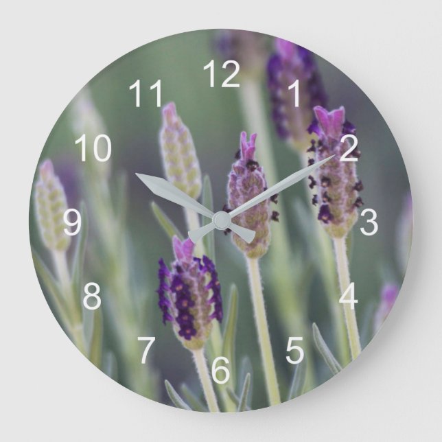 Mexican Lavender Large Clock (Front)