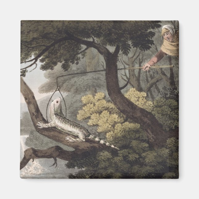 Mexican Lizard Catcher, engraved by Matthew Dubour Magnet (Front)