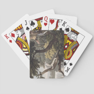 Mexican Lizard Catcher, engraved by Matthew Dubour Playing Cards