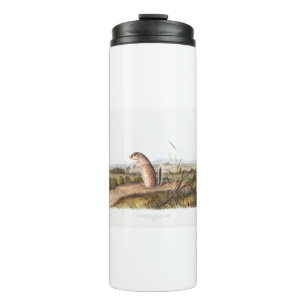 Mexican Marmot Squirrel Camping Deco Gifts Thermal Tumbler