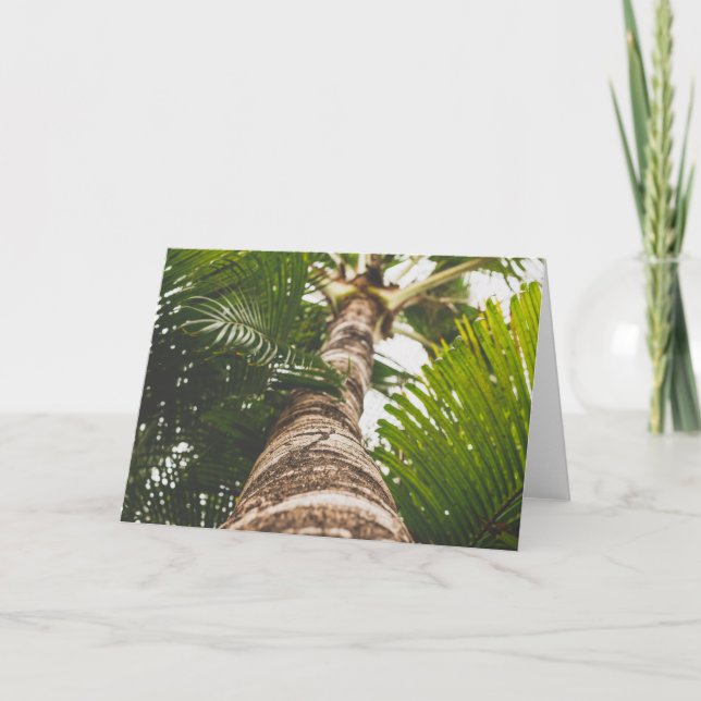 Mexican Palm Tree From Below Card (Front)