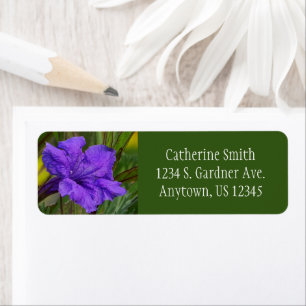 Mexican Petunia Flower / Blue Violet & Green /
