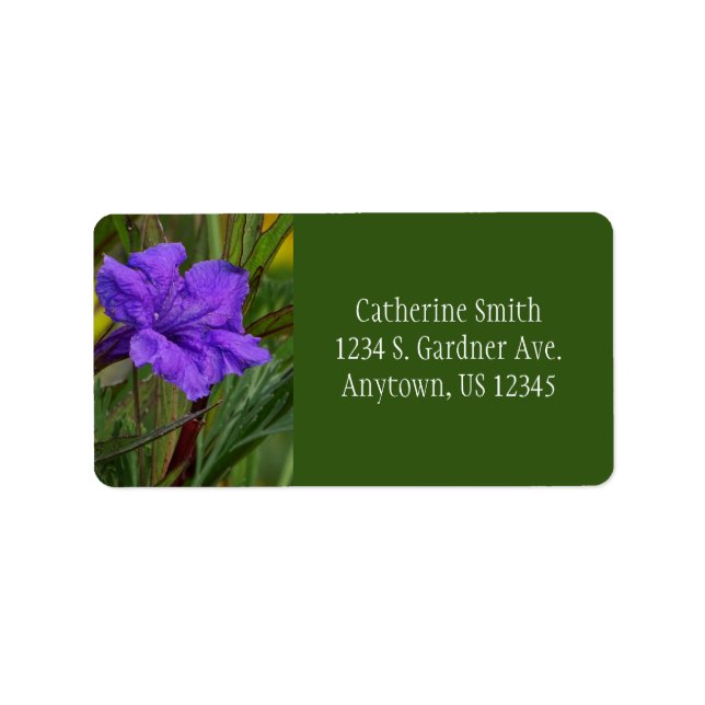 Mexican Petunia Flower / Blue Violet & Green / Label (Front)