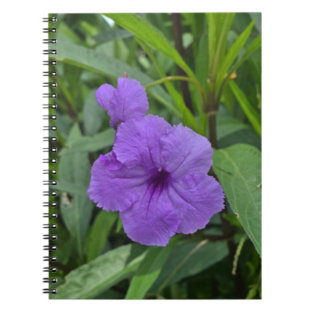 Mexican Petunia  Notebook (Front)