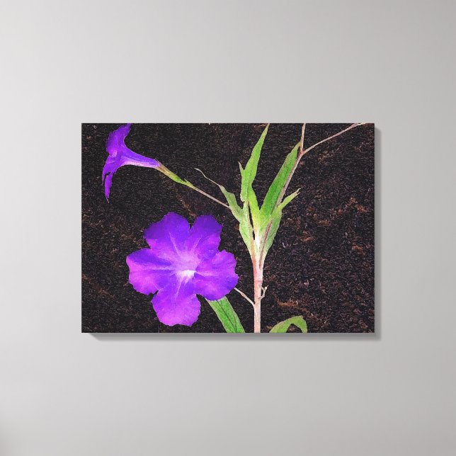 Mexican Petunia Purple Canvas Print (Front)
