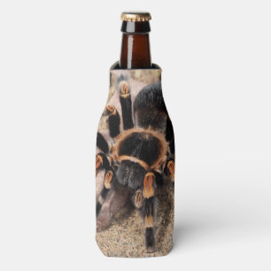 Mexican Red knee Tarantula Bottle Cooler