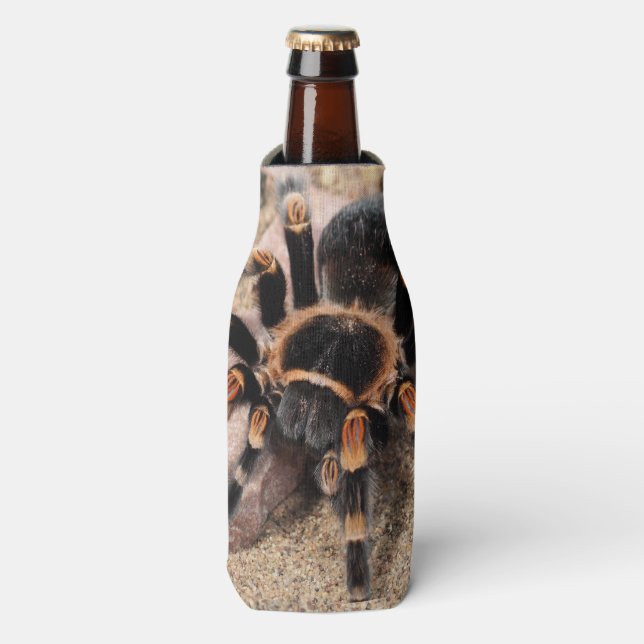 Mexican Red knee Tarantula Bottle Cooler (Bottle Front)
