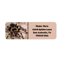 Mexican Red knee Tarantula Return Address Label
