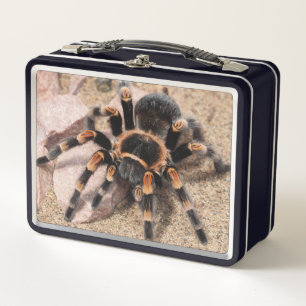 Mexican Red Knee Tarantula Spider Metal Lunch Box