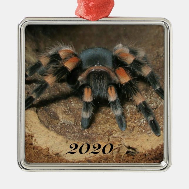 Mexican Red Knee Tarantula Spider Metal Tree Decoration (Front)