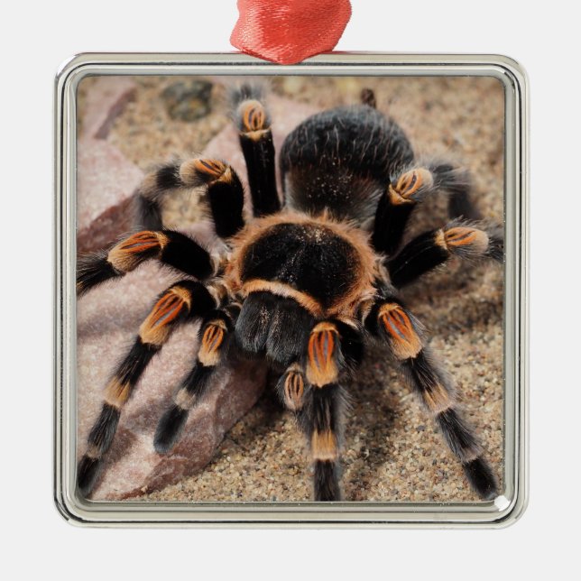 Mexican Red Knee Tarantula Spider Metal Tree Decoration (Front)