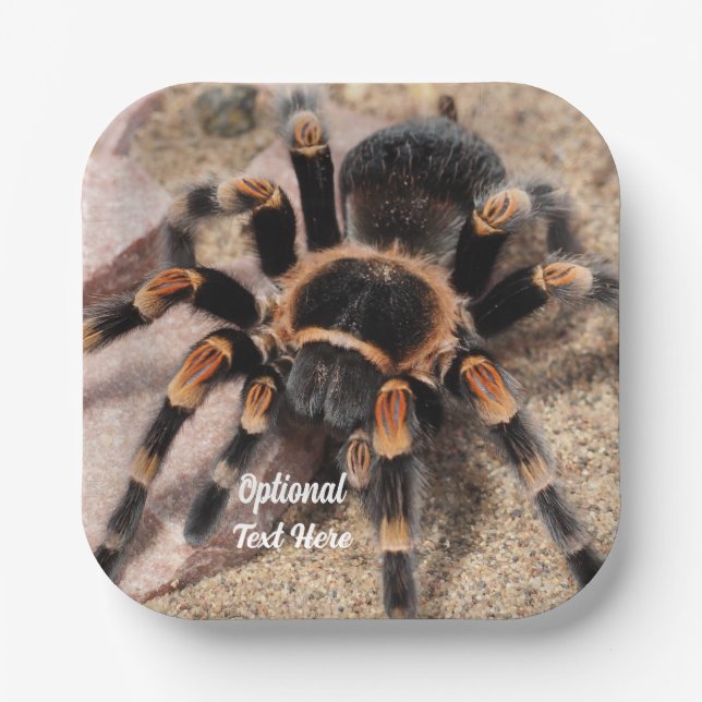 Mexican Red Knee Tarantula Spider Paper Plate (Front)