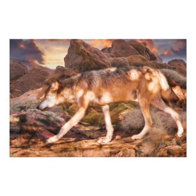 MEXICAN RED WOLF DESERT TREK PHOTO PRINT (Front)