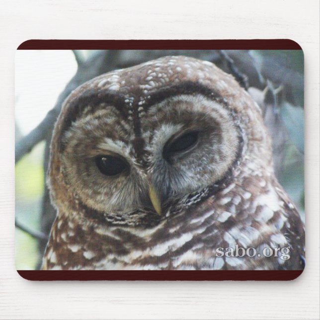 Mexican Spotted Owl Mousepad (Front)