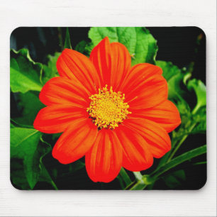 Mexican Sunflower Mouse Mat
