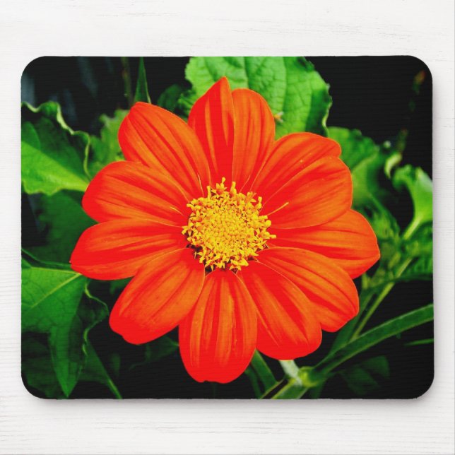 Mexican Sunflower Mouse Mat (Front)