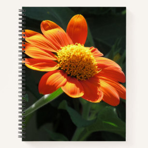 Mexican Sunflower Spiral Notebook - 8.5 x 11, 8.5