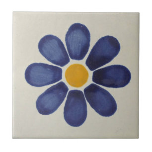 Mexican Tiles Hand Painted Backsplash 6