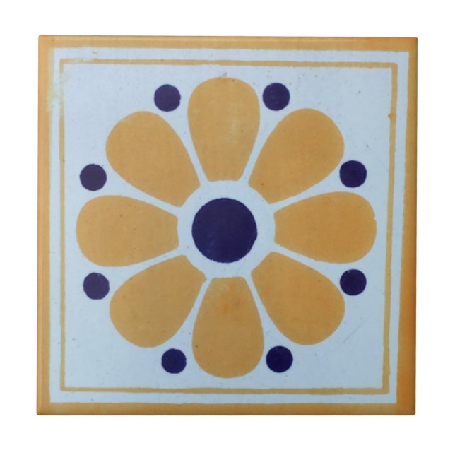 Mexican Tiles Hand Painted Backsplash 8 (Front)