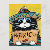 Mexican Tuxedo Cat Hitchhiker