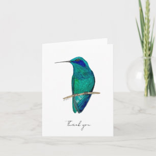 Mexican Violetear Hummingbird Thank You Card