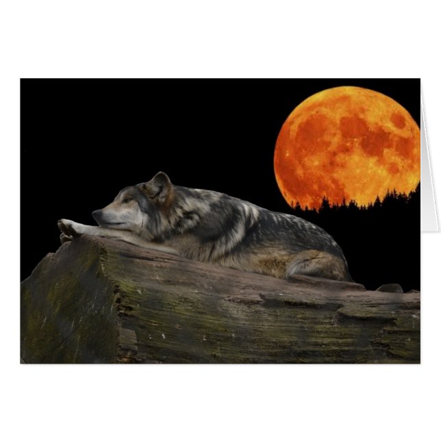 Mexican Wolf & Moon (Front Horizontal)