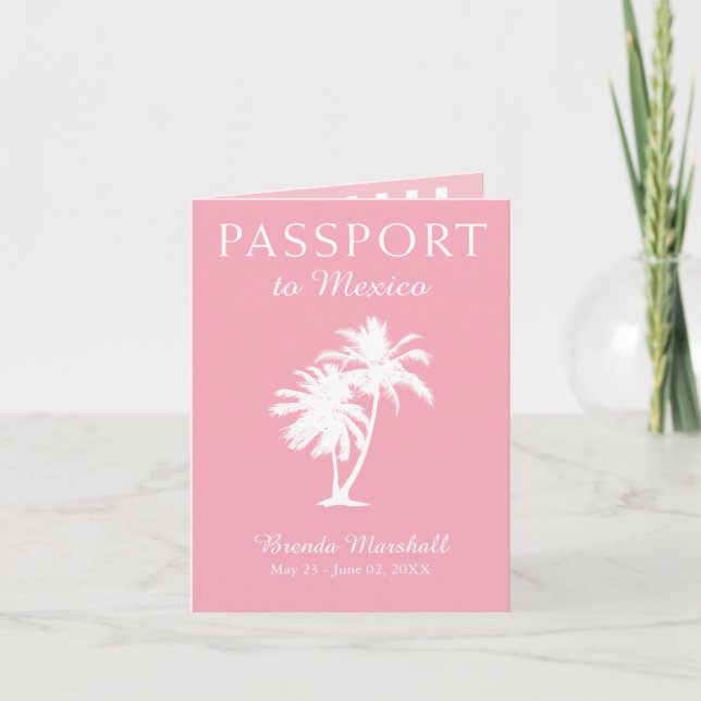 Mexico 21ST Birthday Pink Passport Invitation (Front)