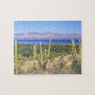 Mexico, Baja California Sur, Cardon Cactus at Jigsaw Puzzle