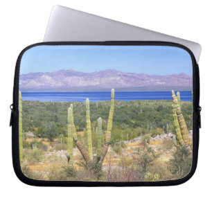 Mexico, Baja California Sur, Cardon Cactus at Laptop Sleeve