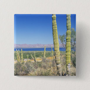Mexico, Baja California Sur, Mulege, Bahia 15 Cm Square Badge