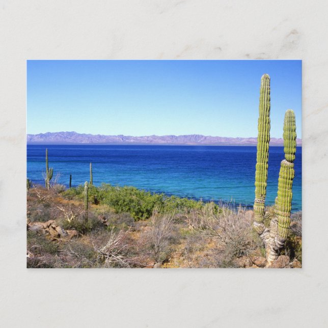 Mexico, Baja California Sur, Mulege, Bahia 2 Postcard (Front)