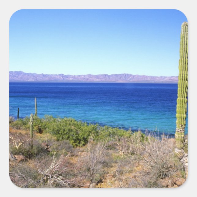 Mexico, Baja California Sur, Mulege, Bahia 2 Square Sticker (Front)