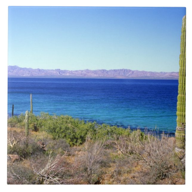Mexico, Baja California Sur, Mulege, Bahia 2 Tile (Front)